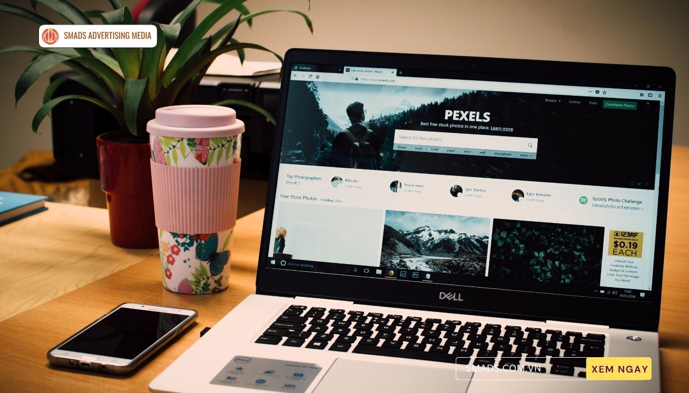 lo-trinh-website-da-nang