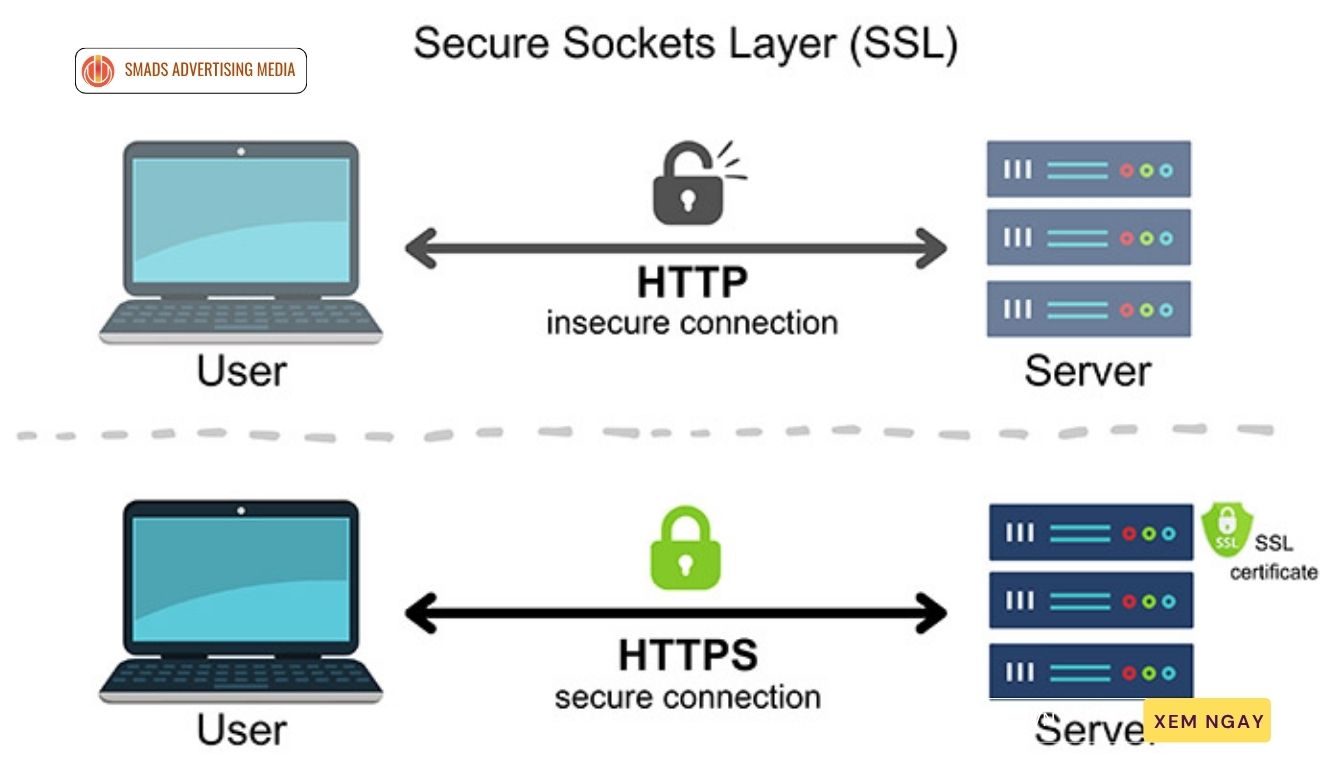 ssl-thiet-ke-web-da-nang